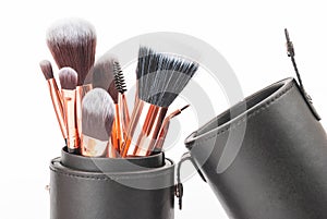 Professional Makeup Brushes