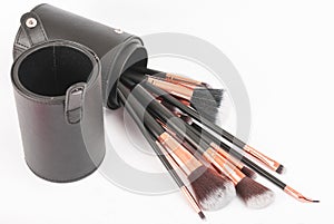 Professional Makeup Brushes