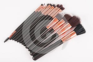 Professional Makeup Brushes