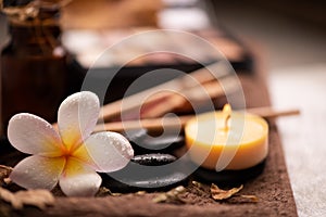 Professional makeup brushes and tools, natural make-up products set on a  table with pomelia flower