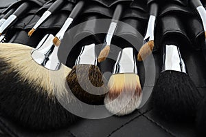Professional makeup case with brushes