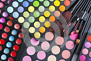 Professional makeup palettes and brushes