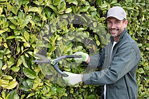 professional male gardener pruning hedge at home backyard
