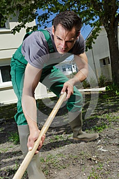 professional male gardener at work