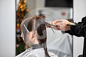 Professional male hairdresser cutting female hair in salon