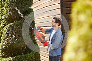 Professional male landscaper creating topiary garden by cutting branches of evergreen plants.