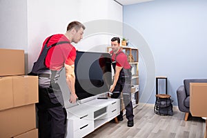 Professional Male Movers Doing Home Relocation