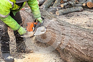 Professional male worker lumberjack in protective clothes sawing tree trunk, with chainsaw. Logging, cutting trees. Trimming trees