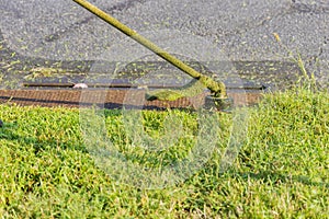 Professional man using mower mowing the grass in roadside