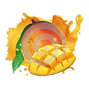 Professional Mango Splash Vector Illustration