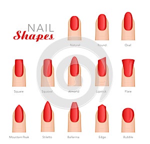 Professional manicure different shapes of nails vector