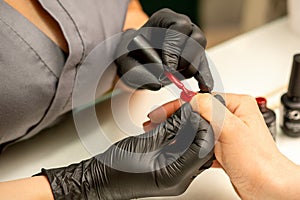 Professional manicure. A manicurist is painting the female nails of a client with red nail polish in a beauty salon