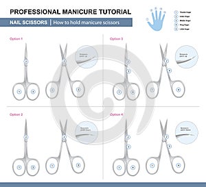 Professional Manicure Tutorial. How to Hold Manicure Scissors. Vector