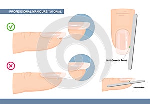 Professional Manicure Tutorial. The Perfect Nail Shape. How to File Nails the Right Way. Manicure Mistakes. Vector