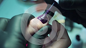 Professional manicurist, manicure work in black gloves at the beauty salon. Dark purple, beautiful pink nails, close up shot.