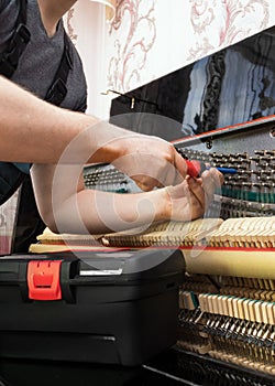 Professional master tuning the piano