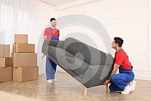 Professional movers carrying sofa in new house