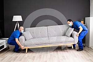 Professional Movers Moving Couch Furniture