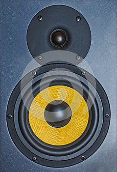 Professional music studio monitor.