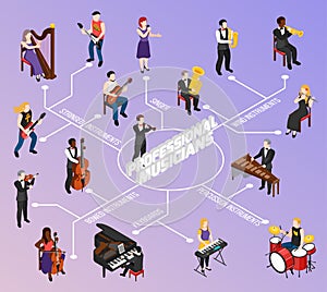 Professional Musicians Isometric Flowchart