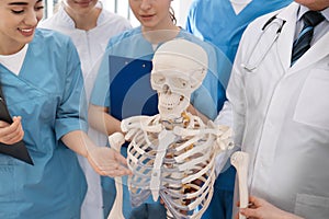 Professional orthopedist with human skeleton model teaching medical students