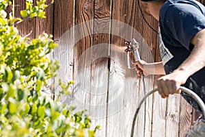 Professional Painter Spraying Yard Fence with Stain photo