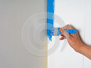 A professional painter uses a brush to apply paint to the wall. Painting the walls in blue.