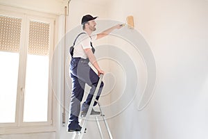 Professional painter worker is painting one wall