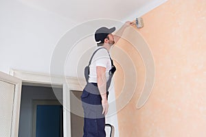 Professional painter worker is painting one wall