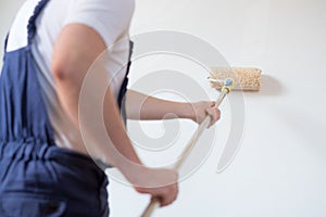 Professional painter worker img