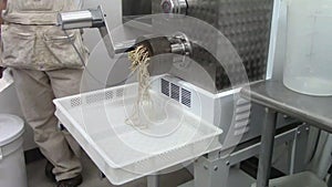 Professional Pasta Maker Machine Extruder