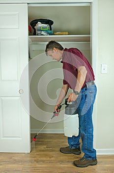 Professional pest control home bug service photo