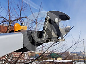 Professional pruner with tensioner and chain for trimming trees against the sky