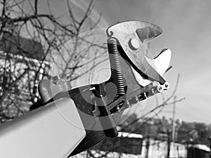 Professional pruner with tensioner and chain for trimming trees against the sky