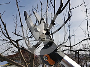 Professional pruner with tensioner and chain for trimming trees against the sky