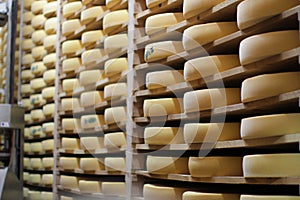 Professional refining Comte cheese cellar and specialty robot in France