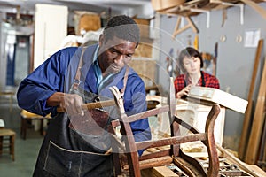 Professional restorer renewing vintage armchair