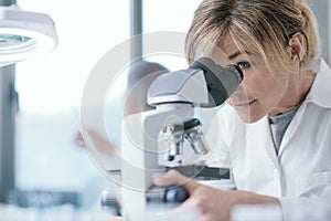 Professional scientist using a microscope