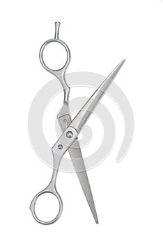 Professional scissors