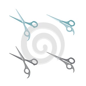 Professional scissors set vector image