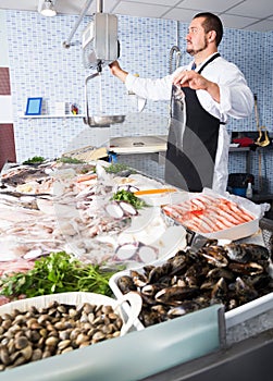 Professional seller in black apron holding fish and looking at s