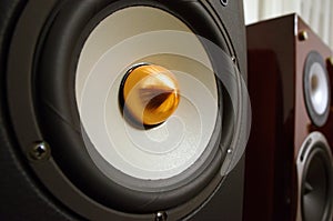 Professional speaker system. Music and sound