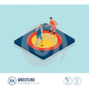 Professional sports competition: wrestling