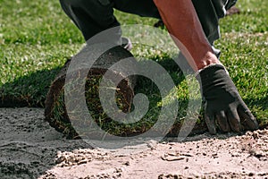 Professional stacking of fresh rolled grass. Gardener`s hands in gardening gloves laying turf making new lawn