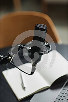 Professional Studio Recording Microphone