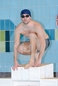 Professional swimmer preparing for swimming race