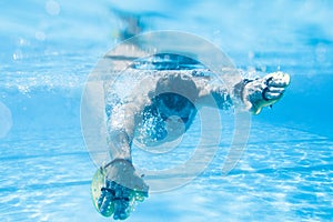 Professional swimmer training in pool