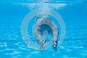 Professional swimmer training in pool