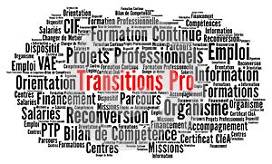 Professional transitions word cloud called transitions pro in French language