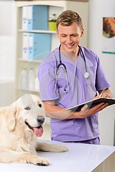 Professional vet examining a dog